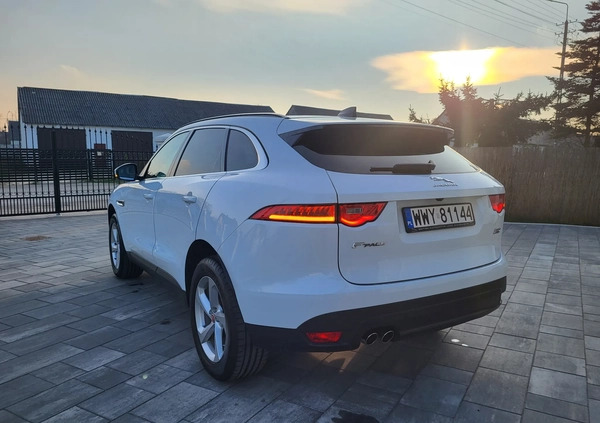 Jaguar F-Pace cena 169500 przebieg: 17500, rok produkcji 2020 z Wyszków małe 742